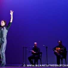 Flamenco Chiasso - Irene La Sentio-17.jpg