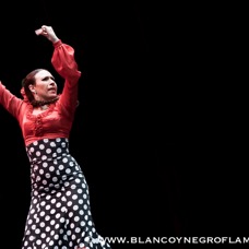 Flamenco Chiasso - Irene La Sentio-50.jpg