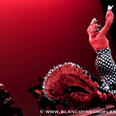 Flamenco Chiasso - Irene La Sentio-65.jpg