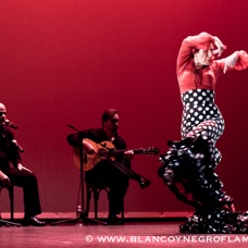 Flamenco Chiasso - Irene La Sentio-77.jpg