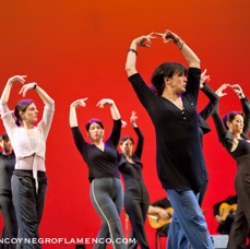Alma Pura - prove-16 copia.jpg