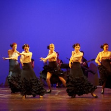 _MG_9560.jpg