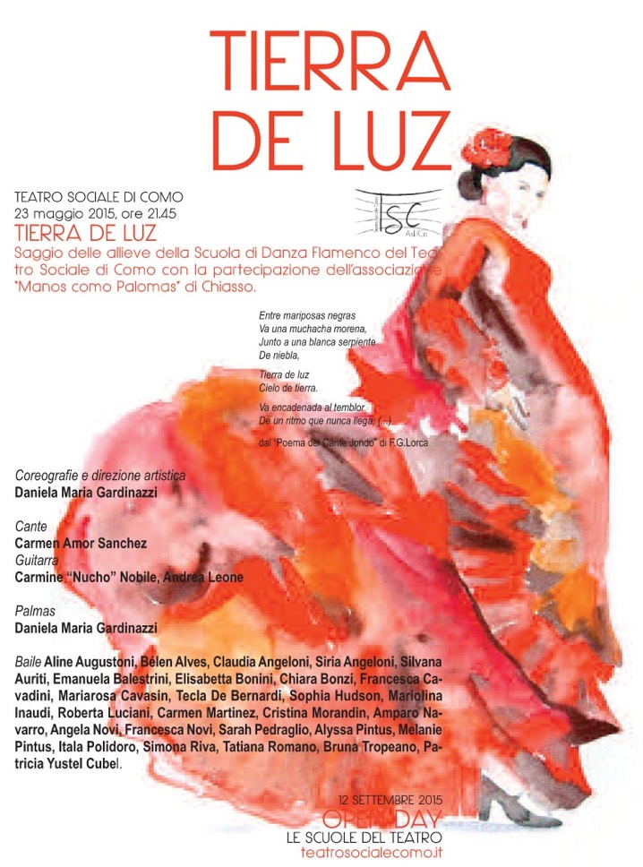 Spettacolo Tierra De Luz 2015