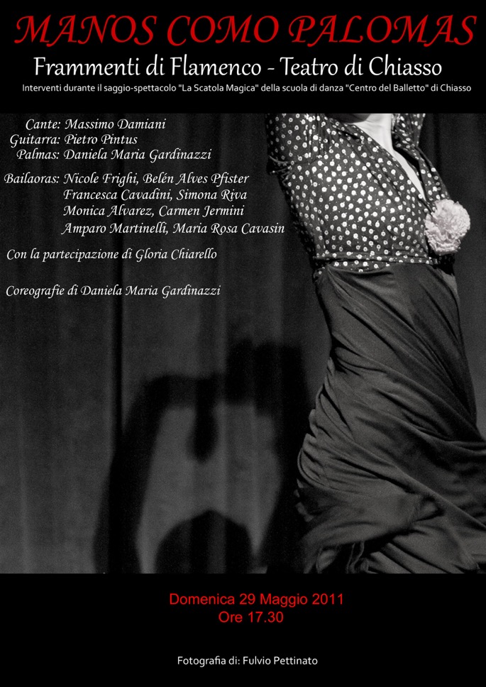 Spettacolo Frammenti di Flamenco 2011